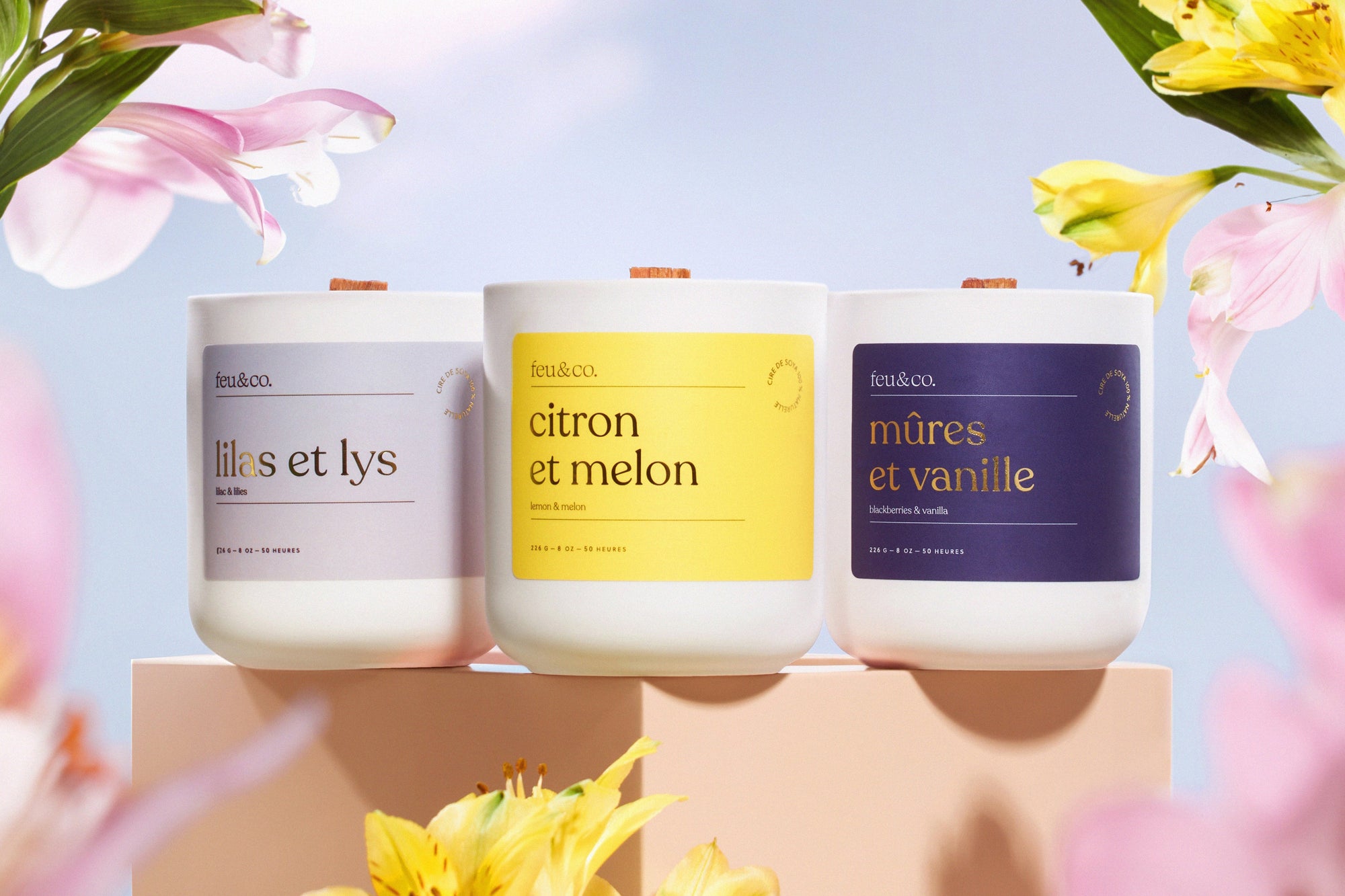 Le printemps en pleine floraison : parfums et astuces pour un intérieur revitalisé