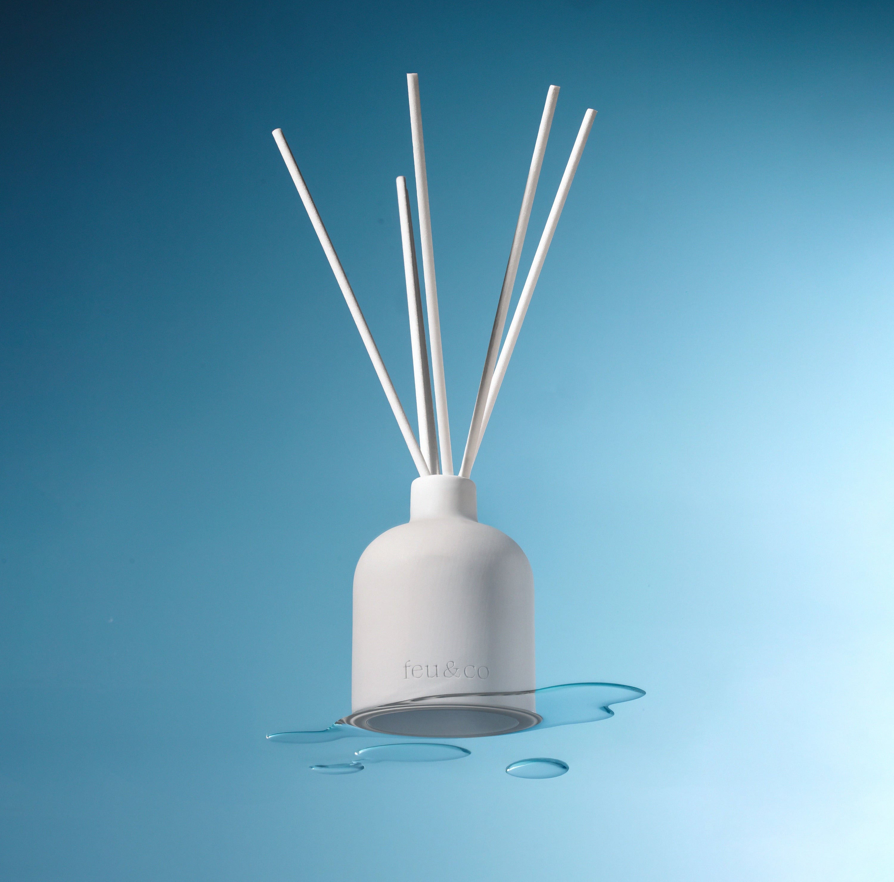 Diffuseurs à roseaux